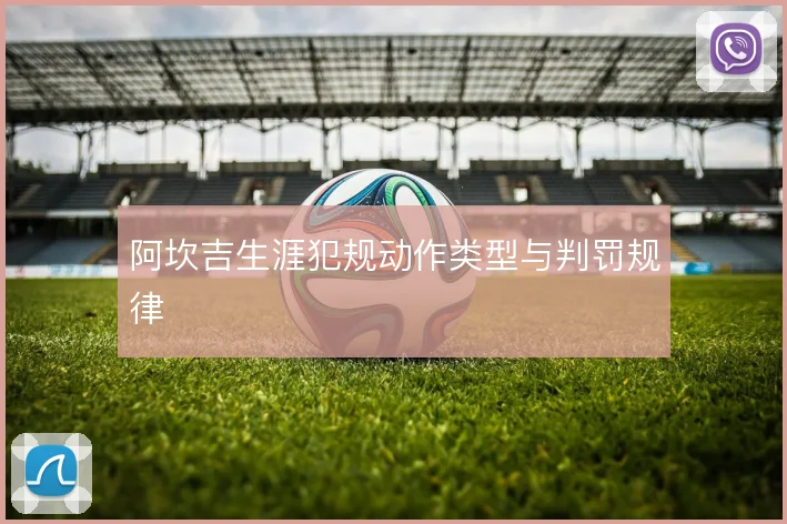 阿坎吉生涯犯规动作类型与判罚规律