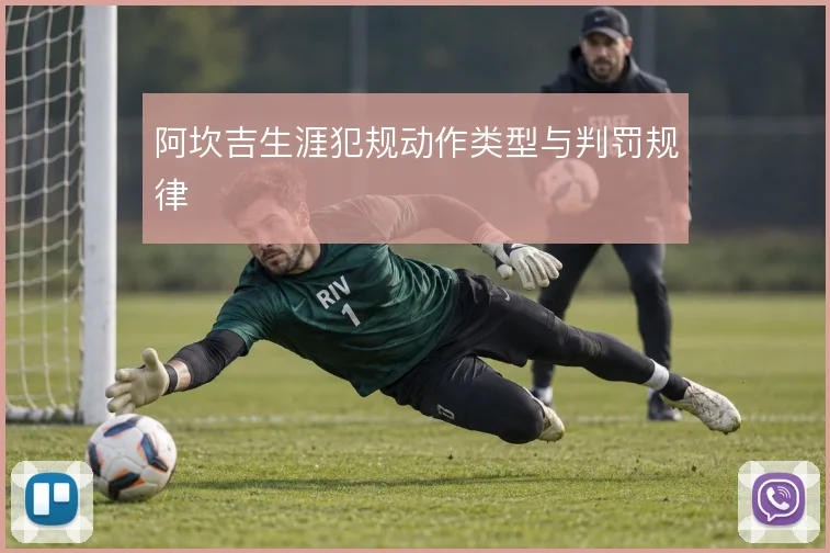 阿坎吉生涯犯规动作类型与判罚规律