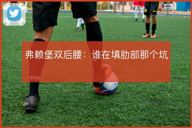 弗赖堡双后腰:谁在填肋部那个坑